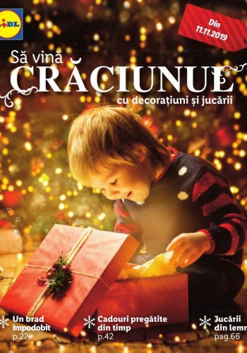 Catalog Lidl 11 noiembrie - 15 decembrie 2019 - Sa vina Craciunul cu decoratiuni si jucarii